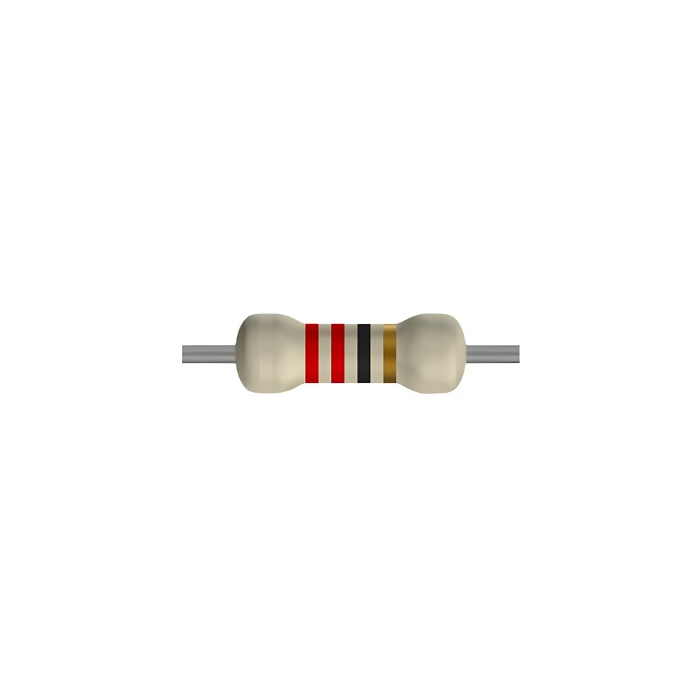 22 Ohm 2 Watt Direnç - Resistor, 22R